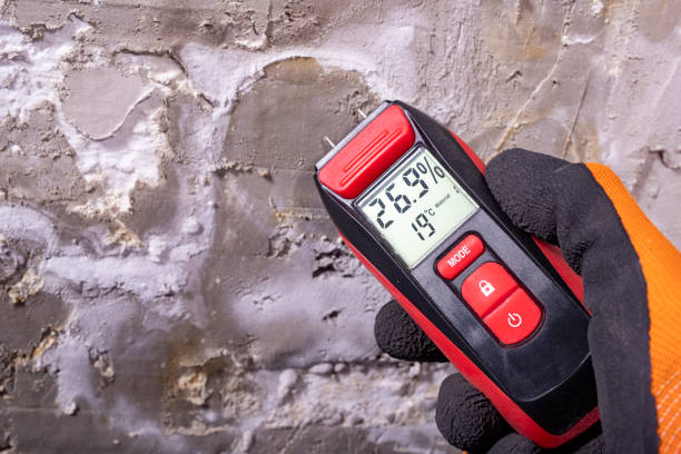 Best Toxic Mold Removal  in Arden Arde, CA